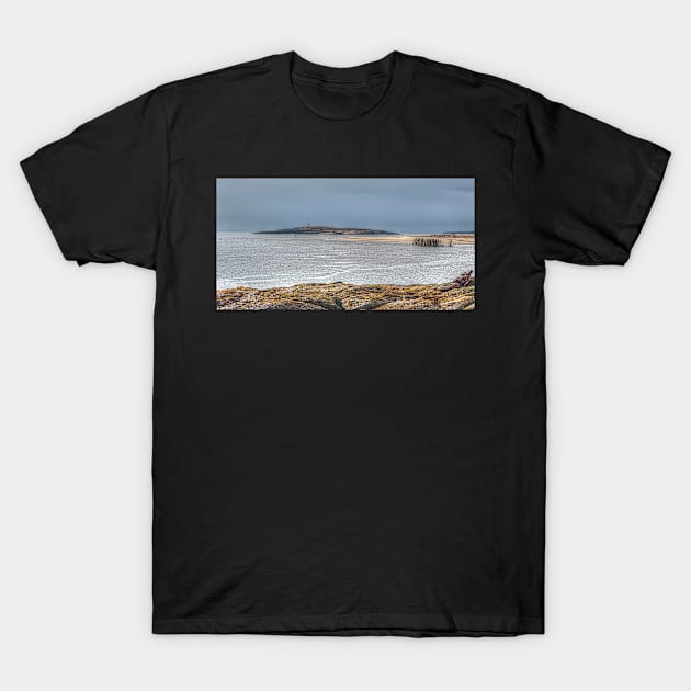 Looking Back at Remnants No Longer T-Shirt by BeanME
